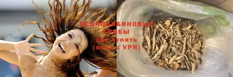 kraken вход  Набережные Челны  Галлюциногенные грибы Psilocybe  наркота 